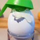 citrus sprayer in egg